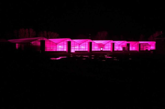 Greenhouse glow causing light pollution in rural towns