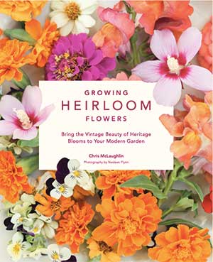 Growing Heirloom Flowers