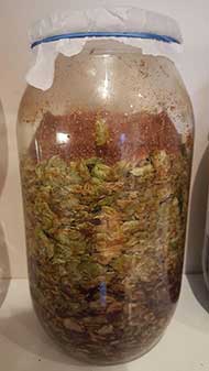 Hops being fermented