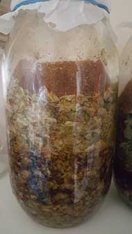 Hops being fermented