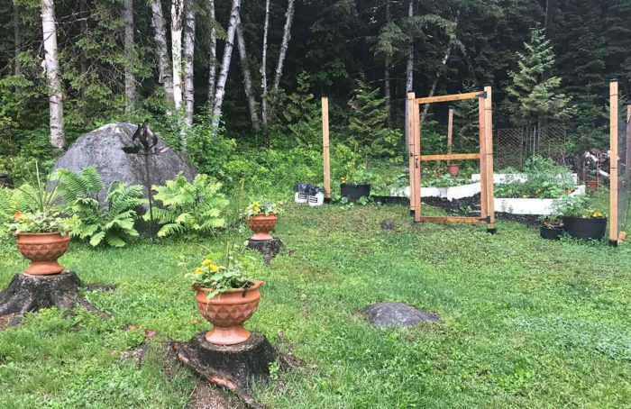 Garden needs more sun, less rain