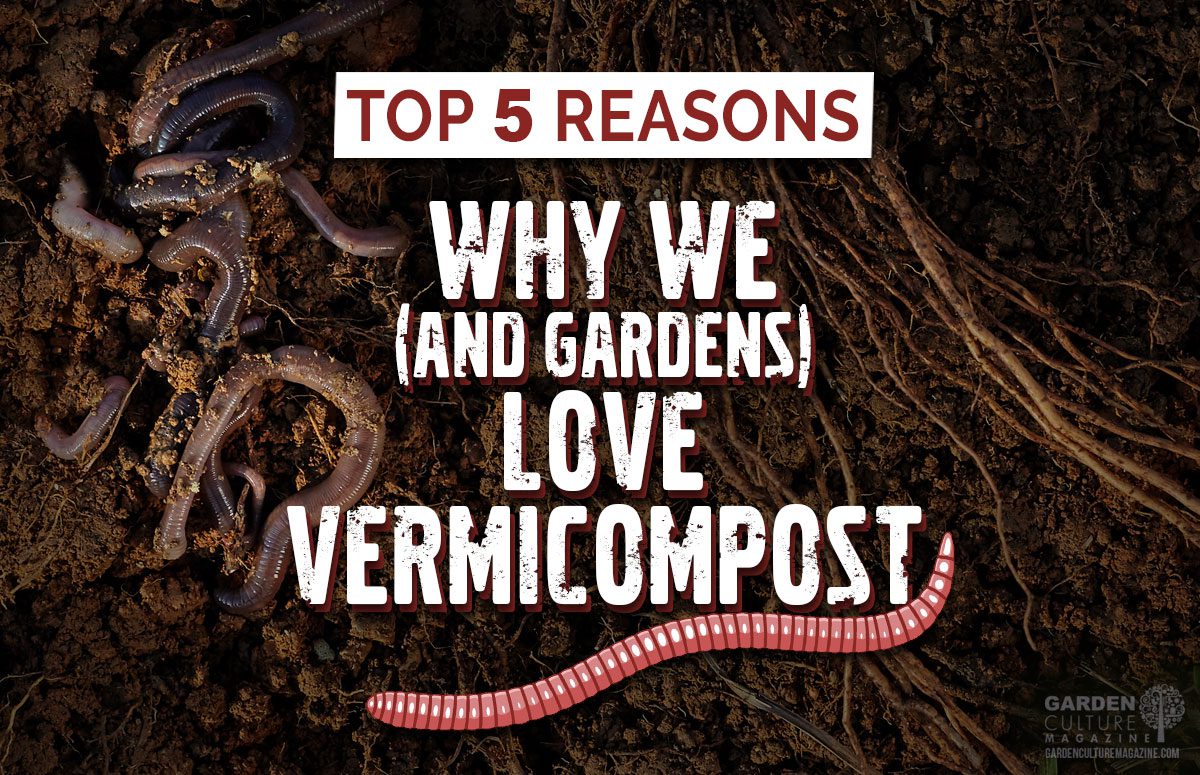 Why we love vermicomposting