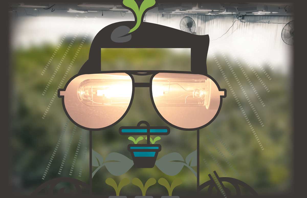 Protective horticultural glasses