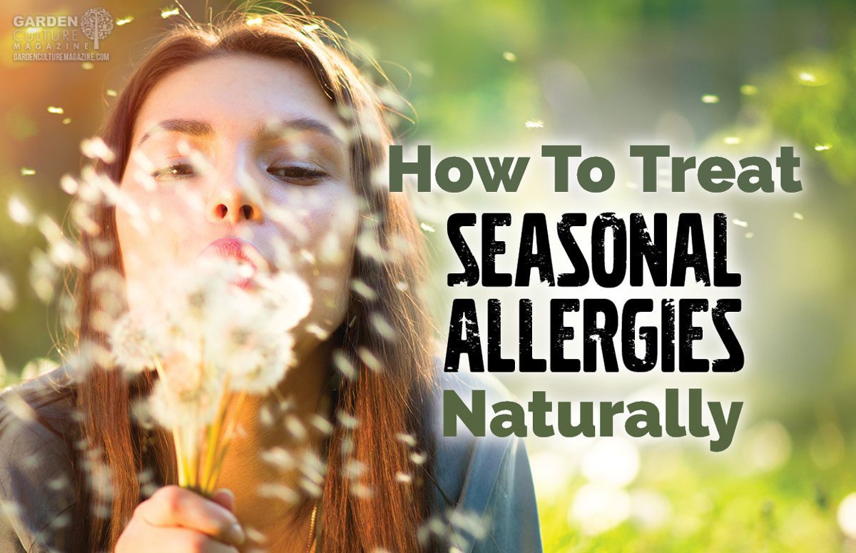 All-Natural Allergy Relief | Garden Culture Magazine