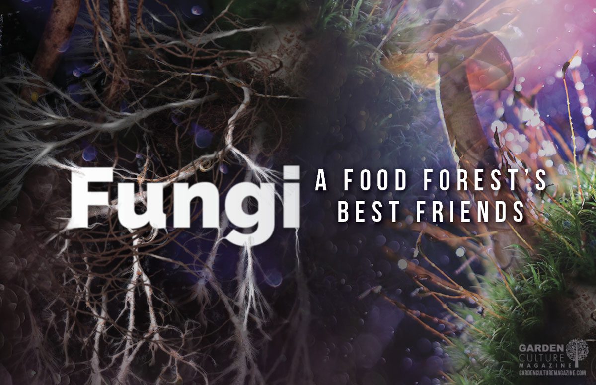 Fungi Food Forest