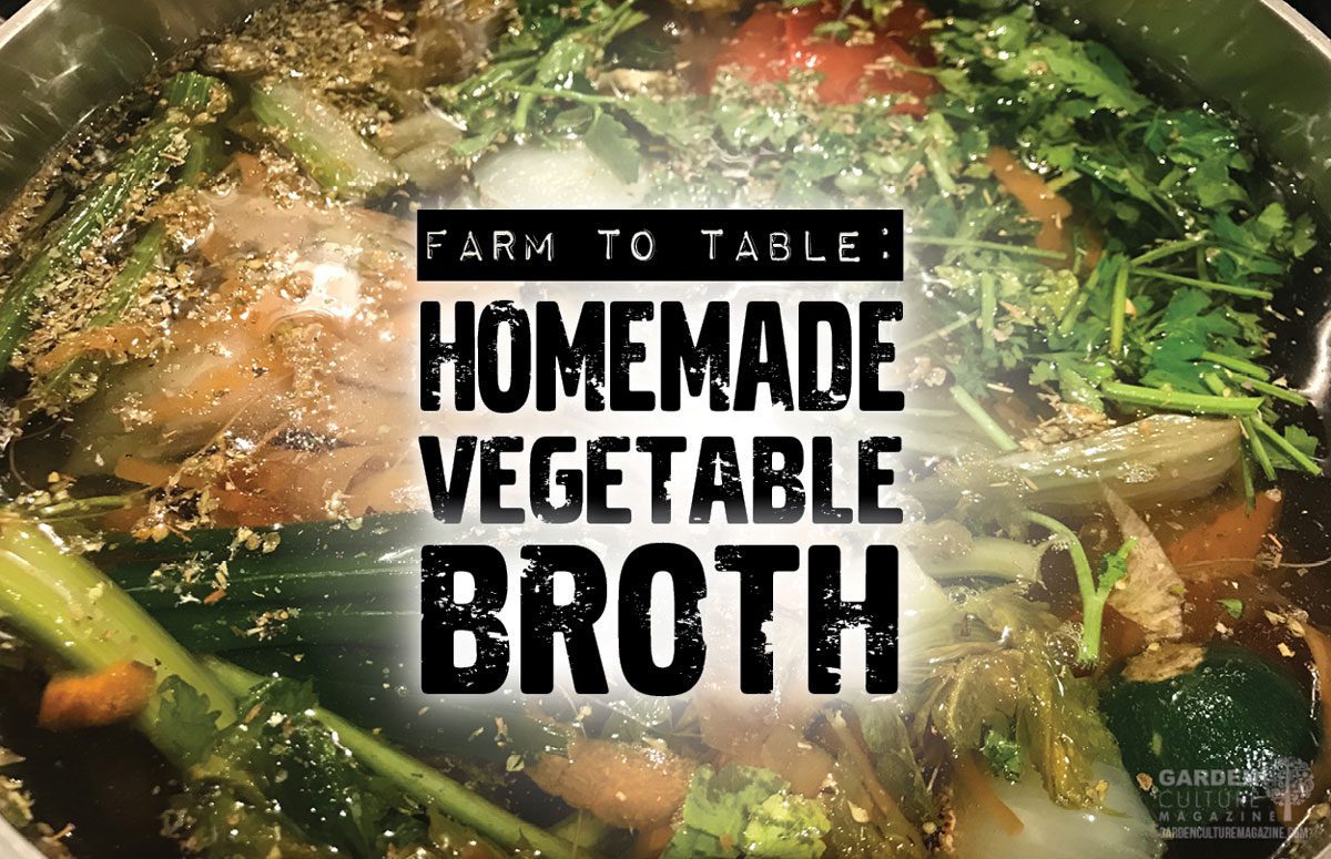 vegetable broth