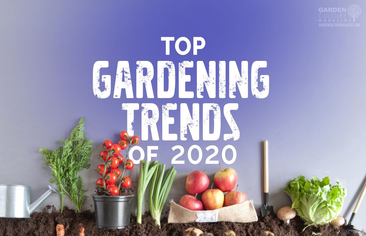gardening trends