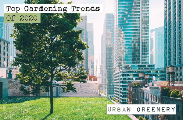 urban greenery