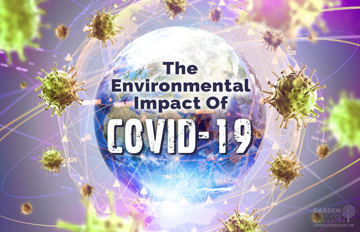 Environmental impact of covid-19
