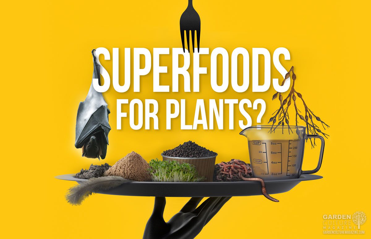 Superfoods for plants