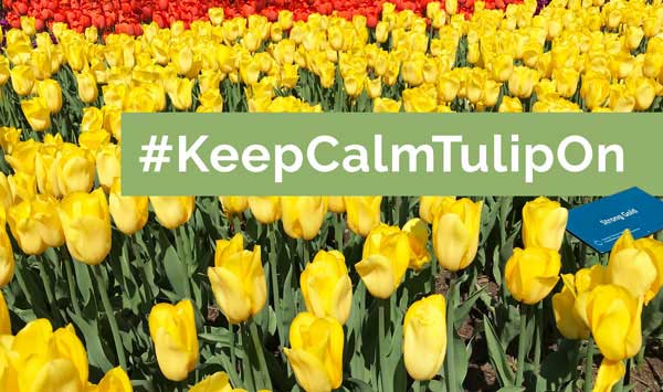 Keep Calm and Tulip On