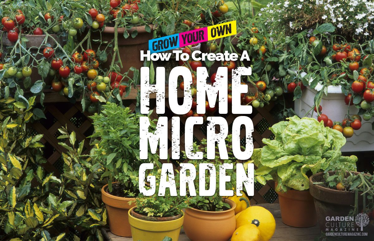 Create a micro garden