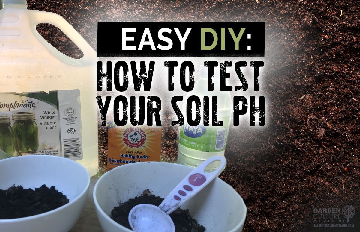 DIY Soil test PH