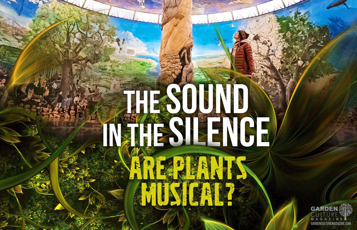 are plants musical?