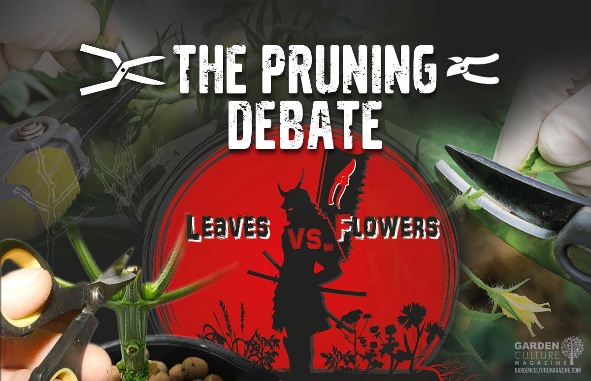 The pruning debate
