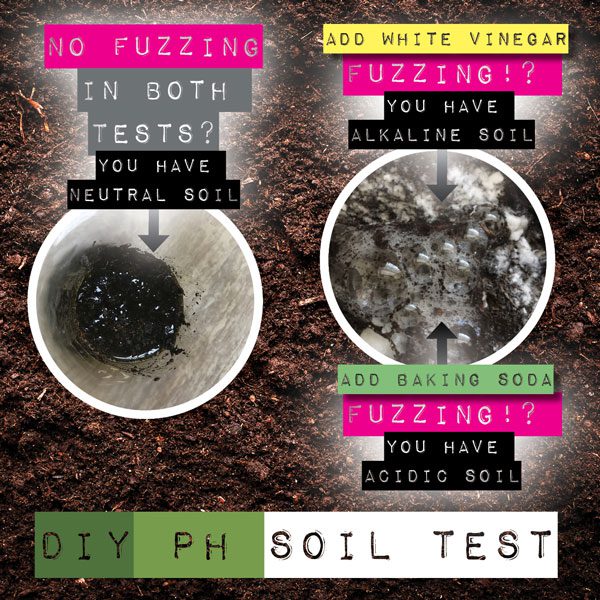 Soil test