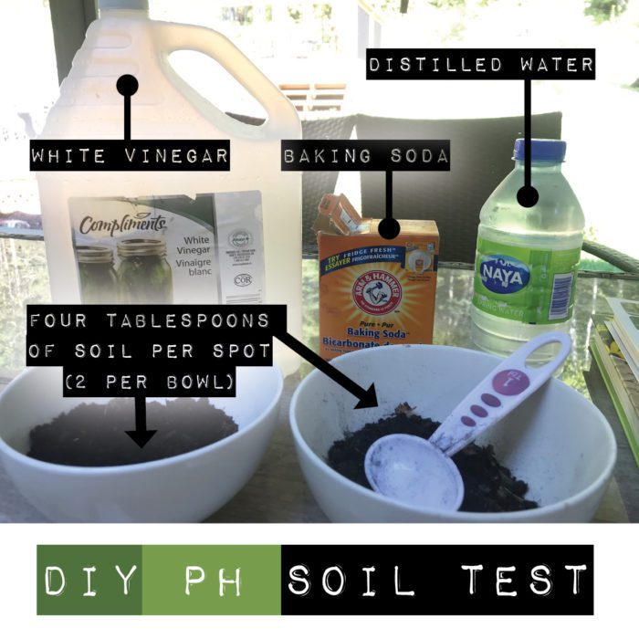 Easy DIY How To Test Your Soil pH Garden Culture Magazine