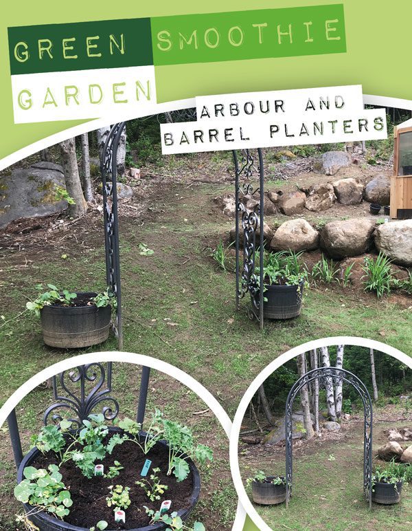 Arbour and barrel planters
