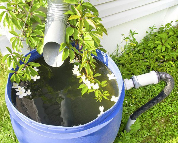 DIY Rainwater collecting system