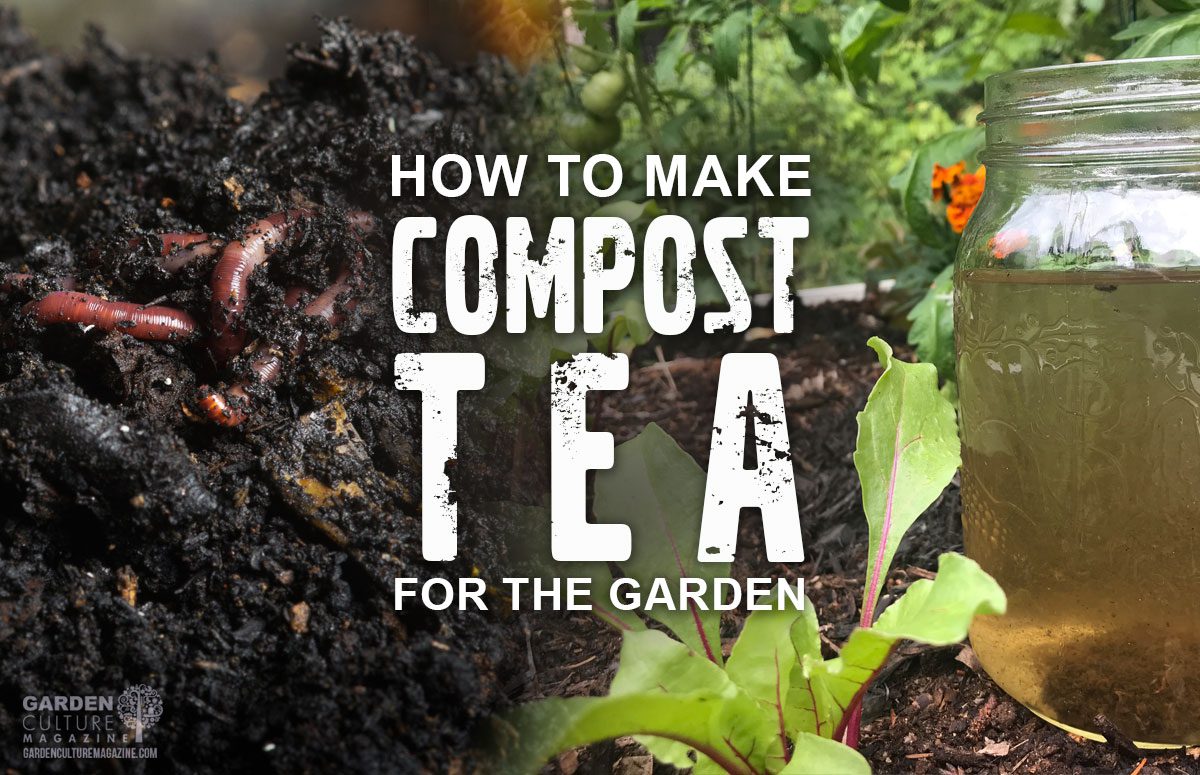 compost tea