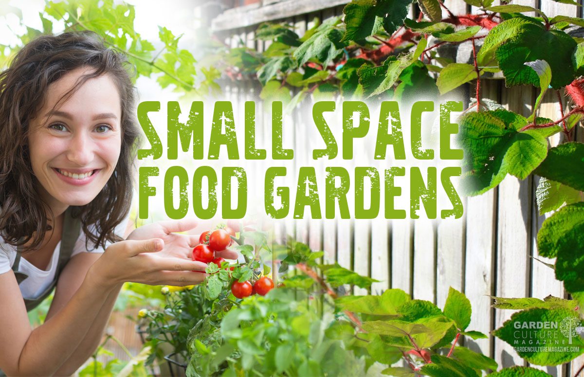 Small space food garden
