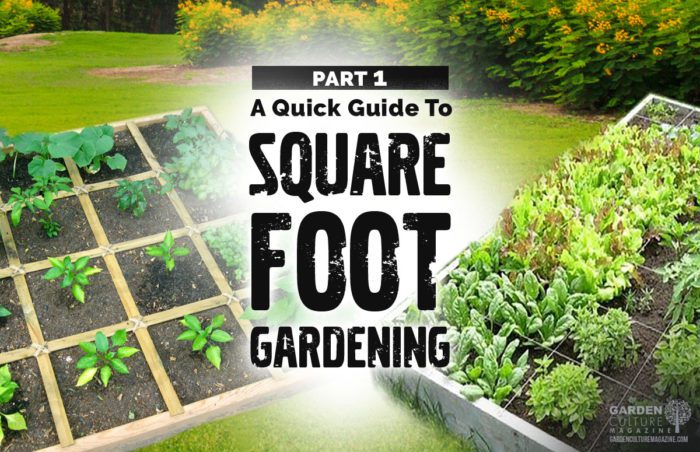 square foot gardening