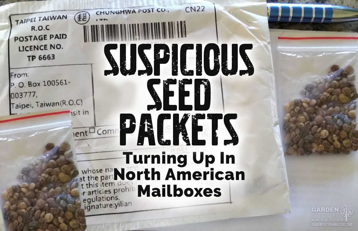 suspicious seed packets