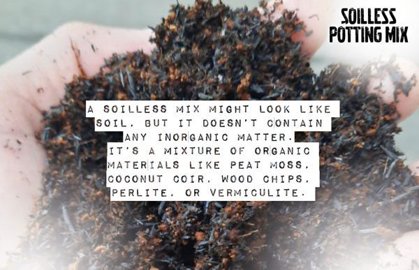 thumbnail image 2 of 2QT Pothos Soil, Ideal Soilless Potting Soil Mix For Taiwan | Ubuy 2 of 10