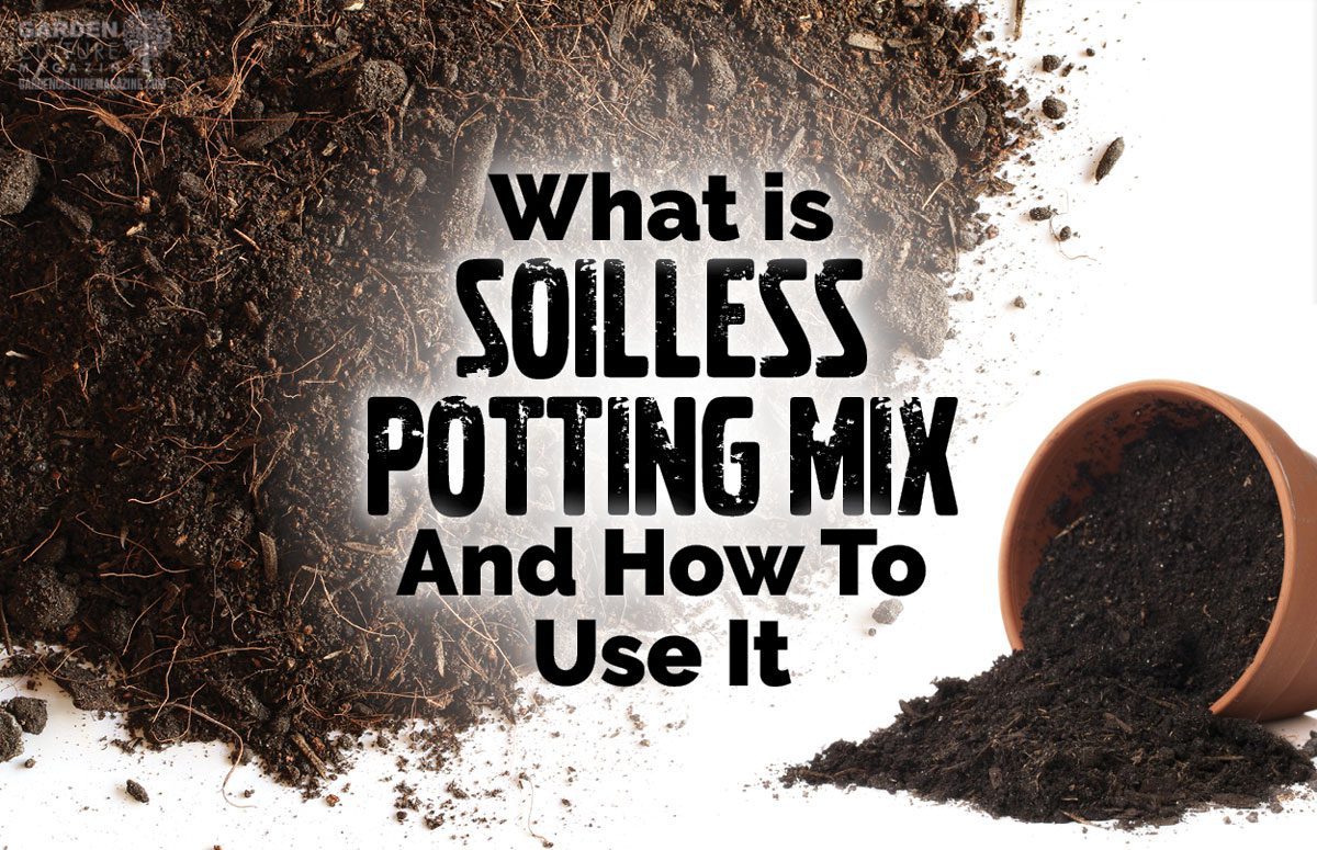 What Is Soilless Potting Mix And How To Use It Garden Culture Magazine