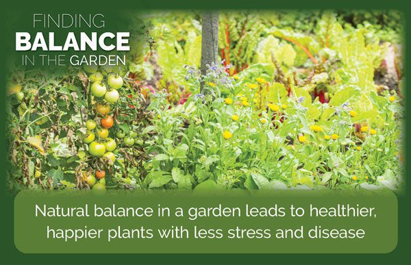 balance in the garden