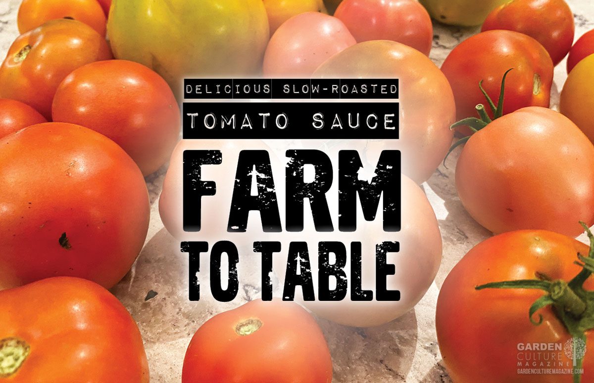 farm to table tomato sauce
