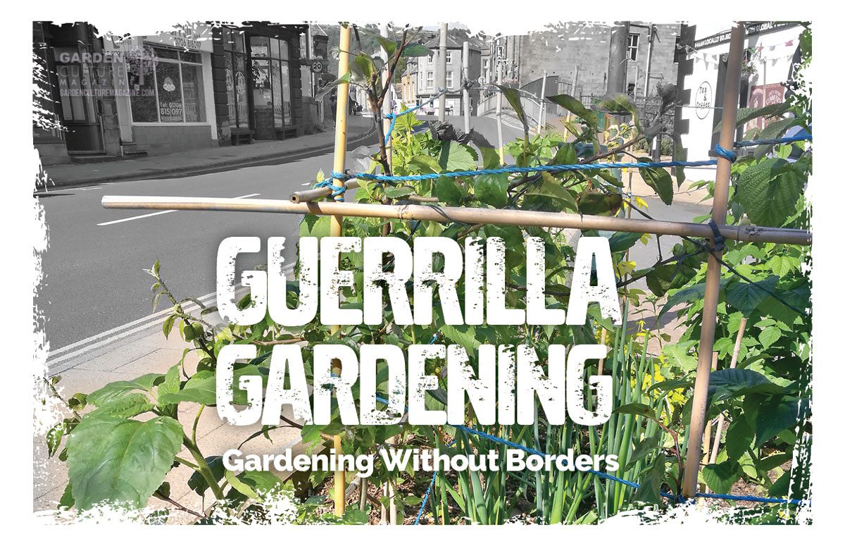 guerilla gardening
