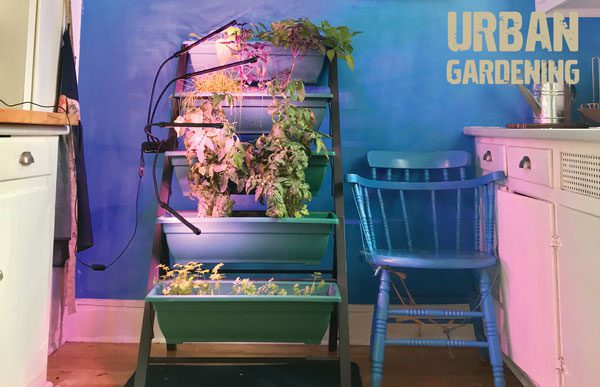 urban gardening