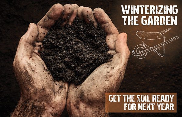 Preparing your garden for winter