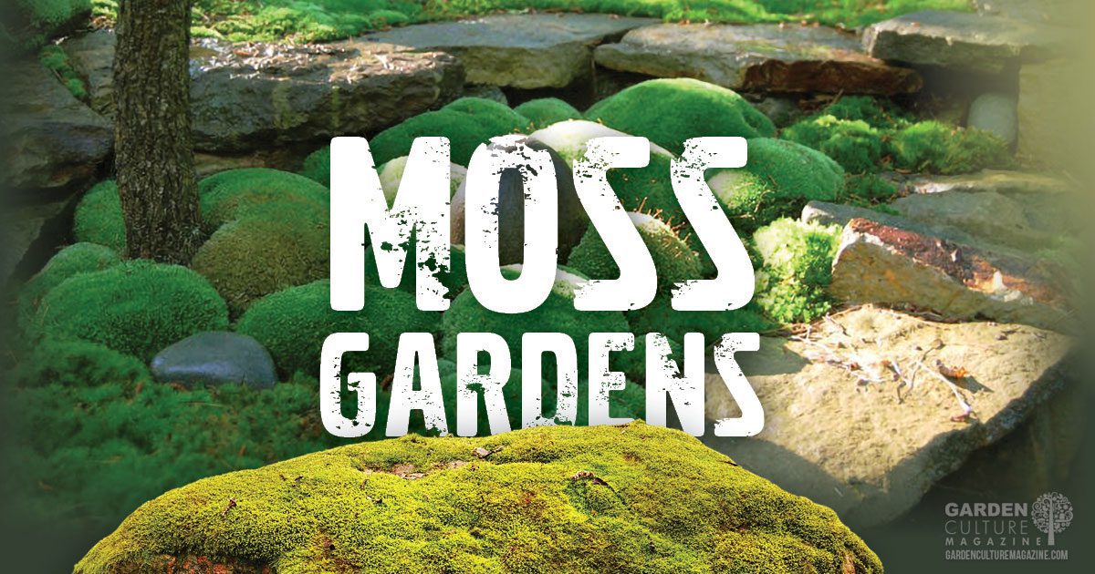 moss gardens