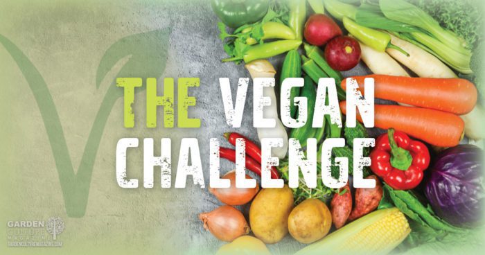 the vegan challenge