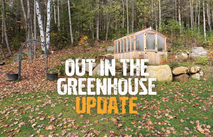 out in the greenhouse