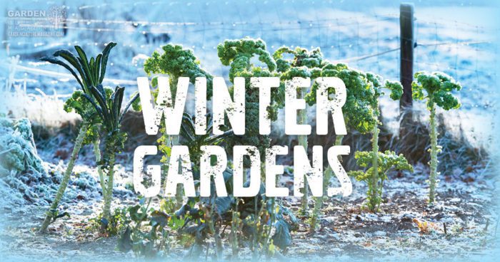 winter garden