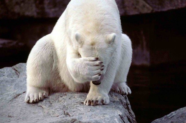 My Taxes Pay for This?