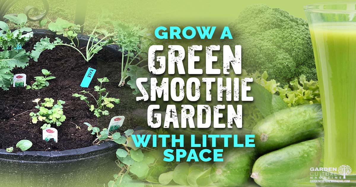 green smoothie garden