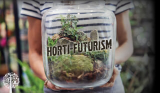 Horti-futurism. A future that is filled with plants and vibrant flowers.