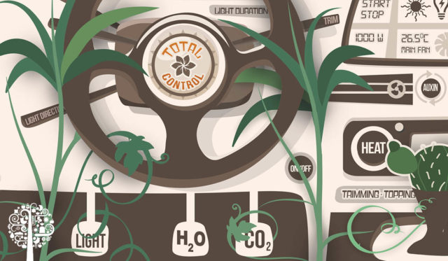 Crop Steering
