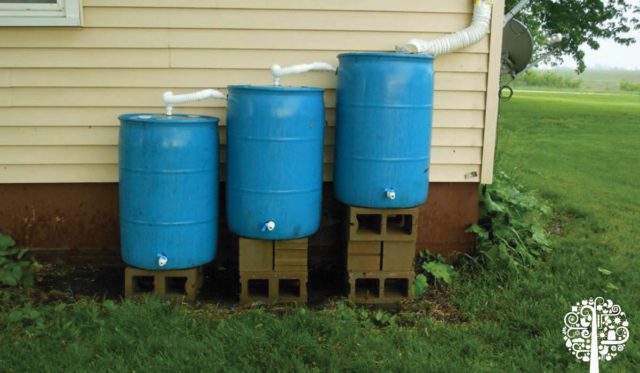 Build Your Own Rainwater Collecting System | Garden Culture Magazine