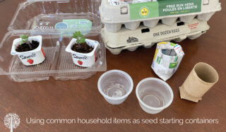 Use old containers for seed starters