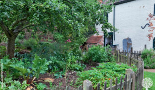 layered perennial edible garden