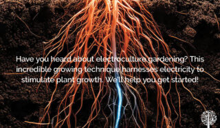 Getting you started with electroculture gardening