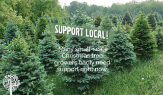Support Local - Many evergreen family farms need your help. 