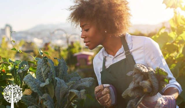 Joy of gardening