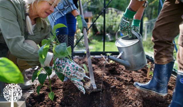 Joy of planting