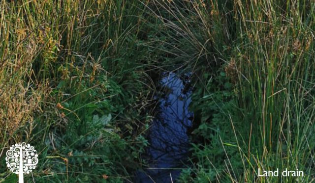 Irrigation